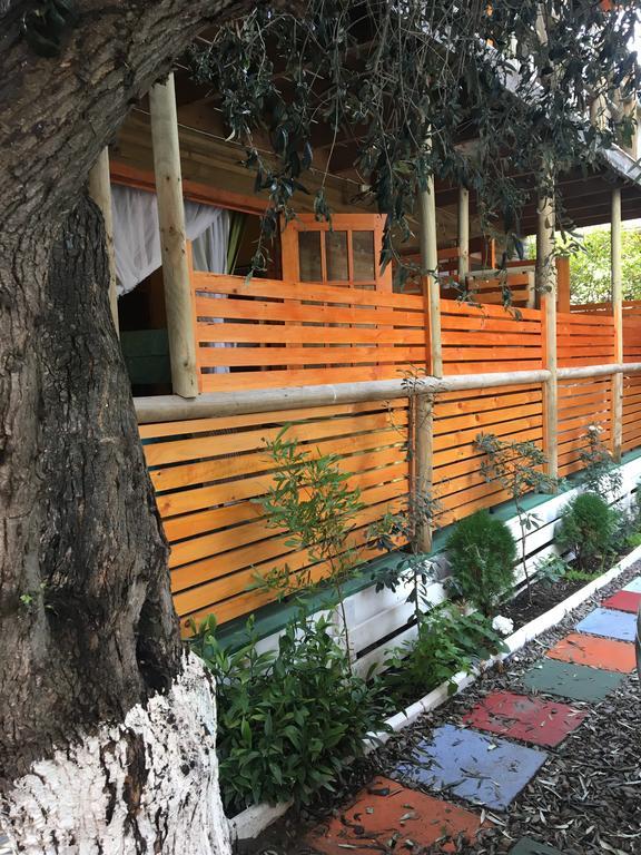 La Maison Des Fous Papudo Exteriér fotografie
